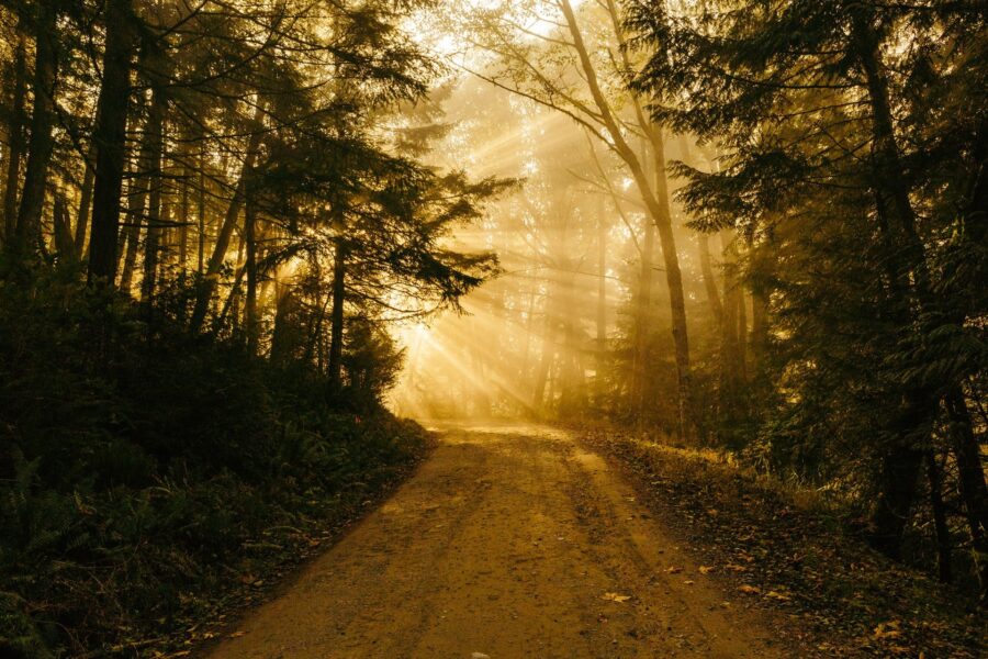 The Journey of Grief