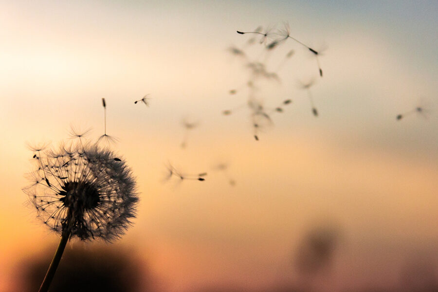 Healthy Healing parent loss